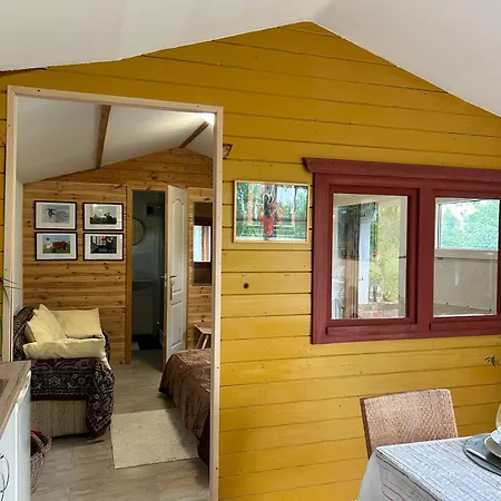 Eva Vendeghaz * Buzsák